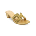 Ladies Fancy Block heel Slipper-17544